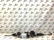 Рейка рулевая 0736-202 Jeep Cherokee KL 14-18  05154521AI 