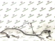 Электропроводка (коса) 0888-622 Infiniti QX60  240959NA2A 