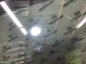 Стекло кузова левое 1069-018 Infiniti Q 50  822636HE0A 