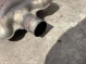 Приемная труба глушителя 1905-552 Audi a6  8K0253211AC 