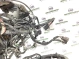 Электропроводка (коса) 2397-447 Land Rover Range Rover Evoque L538  LR033045 
