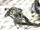 Электропроводка (коса) 2397-449 Land Rover Range Rover Evoque L538  LR033868 