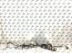 Проводка двигателя 3045-467 Volkswagen Touareg  03H971610AS 