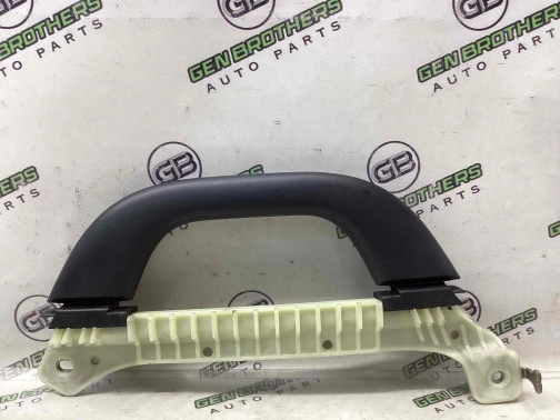 Ручка внутренняя потолочная 3961-399 Dodge Durango  1NS88DX9AB 
