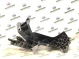 Окуляр передний 4064-271 Jeep Grand Cherokee 10-14  5156117AA 