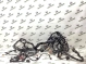 Электропроводка (коса) 4473-227 Lincoln MKZ  DP5T14401AB 