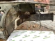 Четверть передняя правая 4811-488 Audi a6  4G0805116TA 