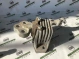 Подушка крепления двигателя 5654-009 Jeep Cherokee KL 14-18  P68190606ae 