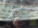 Стекло заднее, стекло крышки багажника 6291-322 Jeep Cherokee KL 14-18  68102218AE 