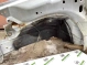 Четверть передняя левая 6431-248 Jeep Patriot  5074803AL 